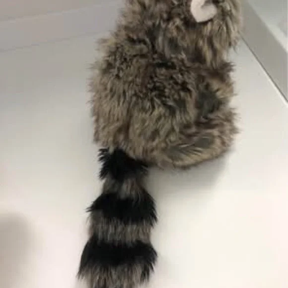 Folkmanis Raccoon Hand Puppet stuffed animal - Picture 4 of 6